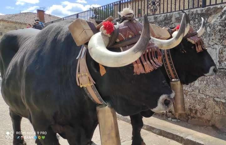 Hostal Rio Duero Molinos de Duero Exteriér fotografie